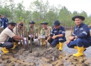 Kolaborasi dengan Masyarakat Desa Gemuruh, PT Timah Tbk Tanam Ribuan Mangrove di Pantai Batu Kucing