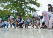 PT TIMAH Tbk Bersama Grup MIND ID dan BKSDA Sumsel Lepasliarkan Tukik Penyu Sisik di Belitung