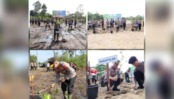 Kembali Tanam Ribuan Bibit, Polda Babel Konsisten Hijaukan Bumi Serumpun Sebalai