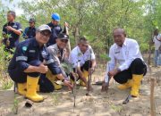 Langkah Berkelanjutan PT Timah Dalam Melestarikan Lingkungan, Tanam 2500 Bibit Mangrove di Karimun