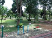 Tins Green Garden Foresttree, Ruang Terbuka Hijau yang Dikelola PT Timah untuk Mendukung Gaya Hidup Sehat