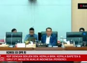 Dukung Target Transisi Energi, BPJ Dorong Pemerintah Percepat Keppres NEPIO