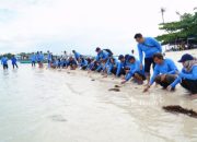 Dukung Pariwisata dan Ekosistem Laut, PT Timah Tbk Bersama AAI Sumbagsel Lepasliar Tukik Sisik di Pulau Kelayang