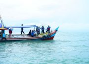 PT Timah Tenggelamkan Artificial Reef, Nelayan Tanjung Kubu Bangka Selatan Jadi Lebih Mudah Tangkap Ikan