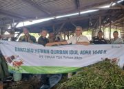 Pererat Silaturahmi, PT Timah Tebar Ratusan Hewan Kurban di Empat Provinsi