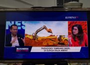 BPJ: Pemerintah Komit Jaga Kelestarian Lingkungan, Empat IUP di Raja Ampat Sudah Dicabut