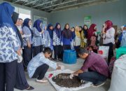 Jaga Lingkungan dan Tingkatkan Ekonomi Warga, PT Timah Latih Ibu-ibu  Sungailiat Olah Sampah Jadi Kompos Bernilai Ekonomis