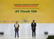 Komitmen Lakukan Hilirisasi, PT Timah Boyong Penghargaan dalam Ajang Energy & Mining Forum 2025