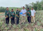 Perkuat Ekonomi Masyarakat, PT Timah Bantu Petani di Kundur Lewat Bibit Tanaman