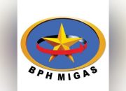 Presiden Serahkan 18 Nama Calon Komite BPH Migas ke DPR RI untuk Fit & Proper Test, Ini Daftarnya