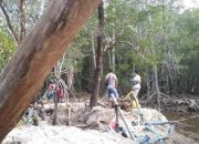 Kualitas Jadi Pembeda, Ini Alasan Kompensasi Bijih Timah di Penambang