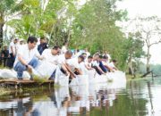 PT TIMAH  Tbk Tebar Belasan Ribu Bibit Ikan di Kolong Bekas Tambang, Optimalisasi Pemanfaatan Kolong dan Ekonomi Masyarakat