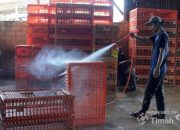 Dukung UMKM Makin Berkembang, PT TIMAH Tbk Serahkan Mesin Steam untuk Usaha Ayam Potong di Pangkalpinang
