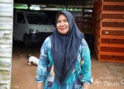 Bangkit dari Keterpurukan, Rumah Ayam Potong Afriani Mitra Binaan PT TIMAH Tbk Pelayanan Tepat Waktu dan Cepat