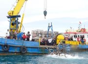 Ditlantas Polda Babel Lepas Rumpon dan Tanam Pohon di Kawasan Pantai Rebo