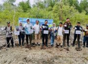 Jaga Ekosistem Pesisir, PT TIMAH Tbk Tanam Ribuan Mangrove di Pantai Kobel Kundur