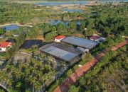 Dari Reklamasi hingga Mangrove, PT TIMAH Tbk Dorong Pemulihan Lingkungan Berkelanjutan