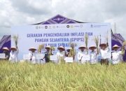 Sinergi Jaga Inflasi, BI Kenalkan GPIPS Sebagai Strategi Baru untuk Stabilitas Harga dan Ketahanan Pangan