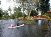 Hijau, Nyaman, dan Edukatif: Tins Green Garden Foresttree Jadi Destinasi Favorit Warga