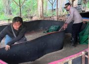 Kapolresta Pangkalpinang Bongkar Arena Sabung Ayam di Semabung