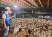 Pemerintah Putuskan Tarif Listrik Triwulan II 2026 Tidak Naik, PLN Siap Jaga Keandalan dan Kualitas Layanan di Tengah Dinamika Global