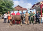 Di Momen Iduladha dan HUT ke-23 Kabupaten Bangka Barat, PT TIMAH Berbagi Kebahagiaan Lewat Hewan Kurban