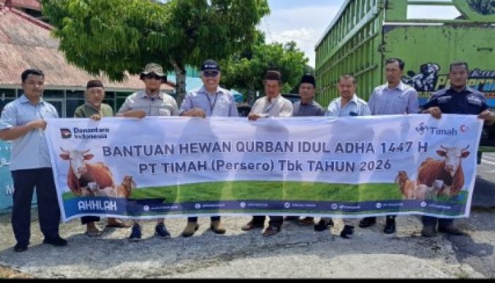 Warga Bangka Barat Sambut Antusias Bantuan Hewan Kurban dari PT TIMAH