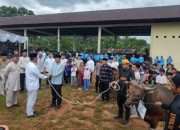 Polda Babel Tebar 61 Hewan Kurban, Kapolda Ajak Perkuat Kepedulian dan Silaturahmi dengan Masyarakat