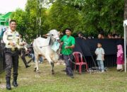 PT TIMAH Salurkan Ratusan Hewan Kurban di Momen Idul Adha, Kepala Daerah Apresiasi Konsistensi Berbagi untuk Masyarakat