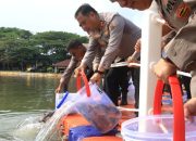 Kapolda Babel Tebar 8.000 Ikan di Kolam BhayPark, Peserta Lomba Mancing Boleh Bawa Pulang Hasil Tangkapan