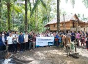 Menjangkau Pelosok Bangka Belitung, Program Sedekah Daging YBM PLN UIW BABEL Hadirkan Kebahagiaan
