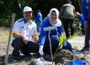 PLN UIW Babel Tanam 4.000 Bibit Kelapa dan Mangrove di Pantai Temberan, Perkuat Benteng Pesisir