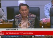 Cegah Blackout Terulang, Komisi XII DPR RI Desak PLN Perkuat Infrastruktur dan Sistem Peringatan Dini